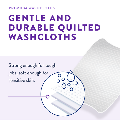 Prevail Premium Adult Personal Wipes
